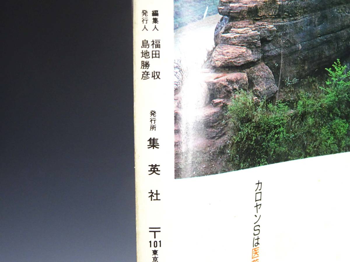 NS 週刊プレイボーイ No.38 昭和62 1987 年 9月8日 発行 高部知子 宝生