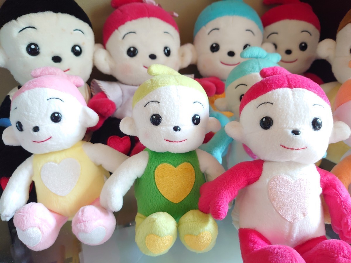 プリモプエル (プリモプエル)｜売買されたオークション情報、Yahoo