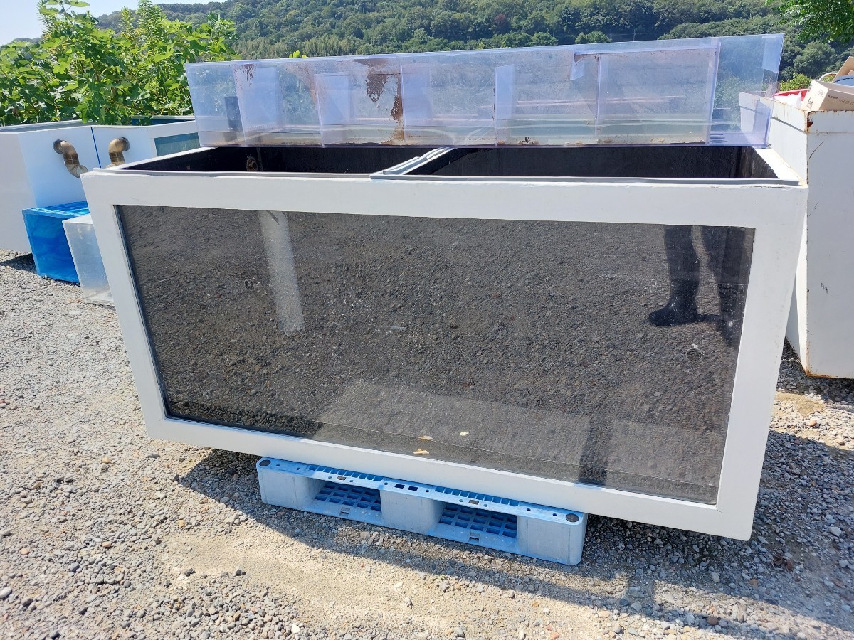 引き取り限定 FRP 錦鯉 錦鯉やエサ・魚病薬 FRP水槽・濾過槽 1，000