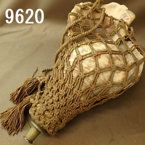 2026年最新Yahoo!オークション -法螺貝ほら貝の中古品・新品 -特大