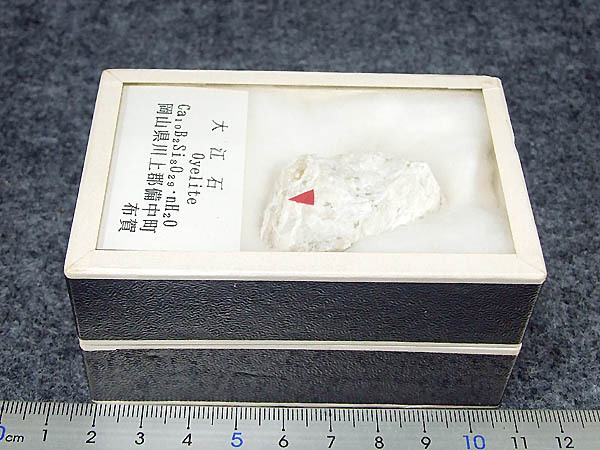 菊花石 菊石 水石 色彩石 台座付 高約25cm 総重量約8.7kg 母岩 天然石
