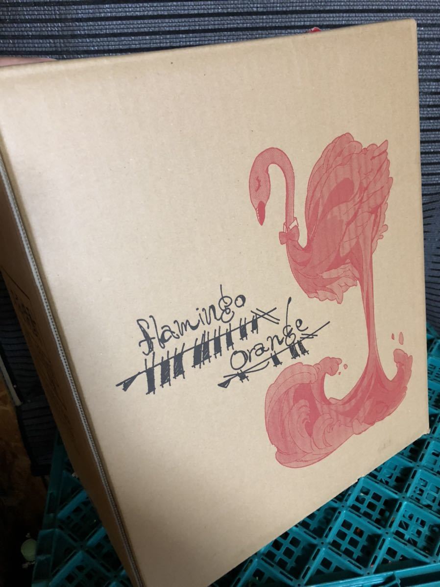 フラミンゴオレンジ　芋焼酎　国分酒造　2023年出荷分　今年出荷分