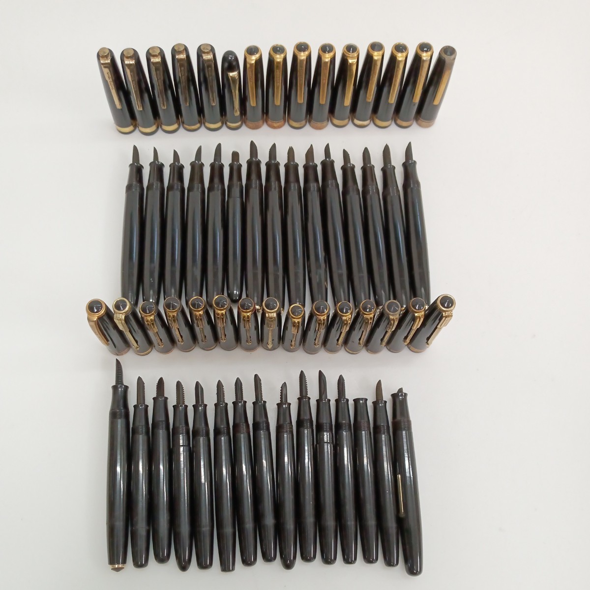 4929853 ジャンク品 WARRANTED / ワランテッド 万年筆 ゴールド プラン 