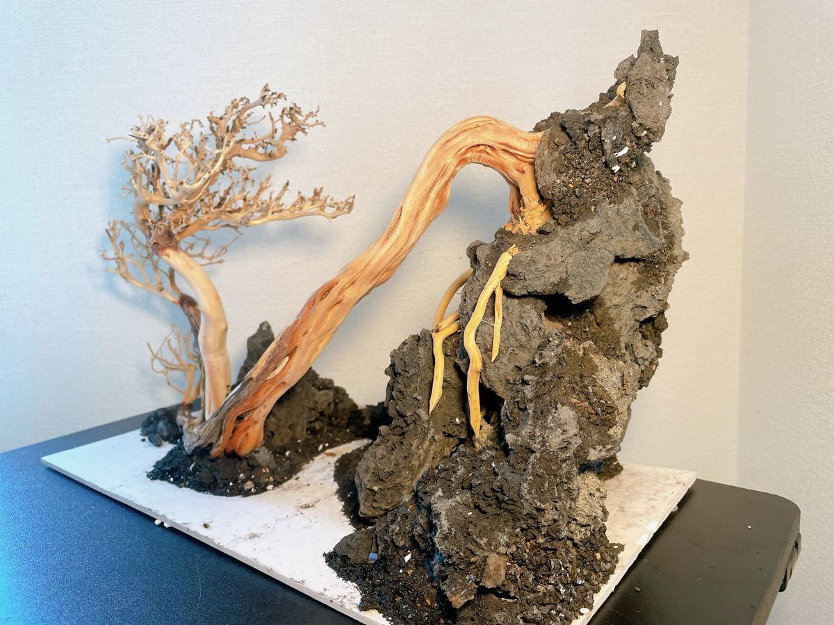 極品・一点物ADAの天然ブランチウッド盆栽流木 （水槽幅90cm以上