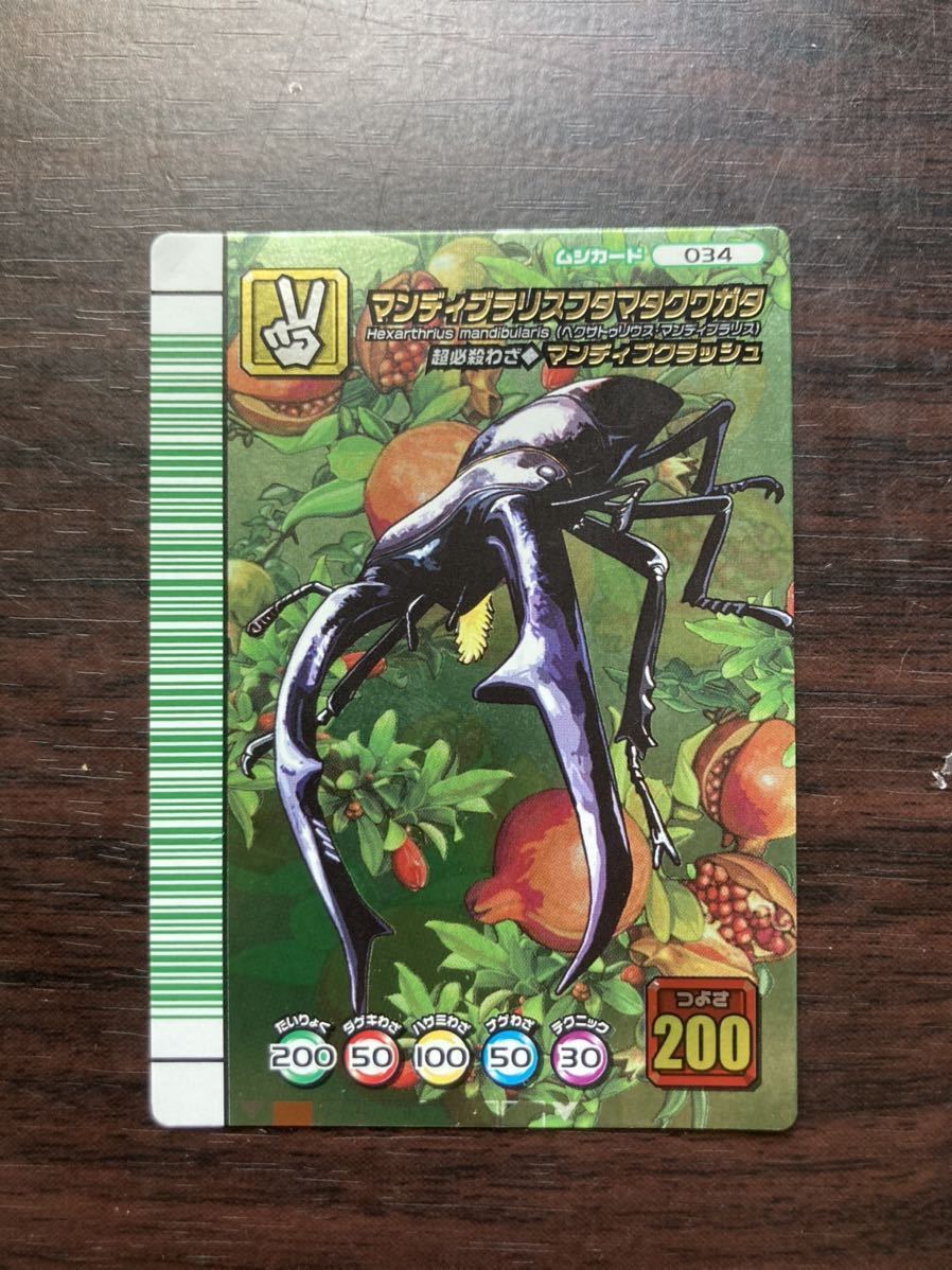 MTG 《波止場の恐喝者/Dockside Extortionist》 C19 英語 【公式通販】