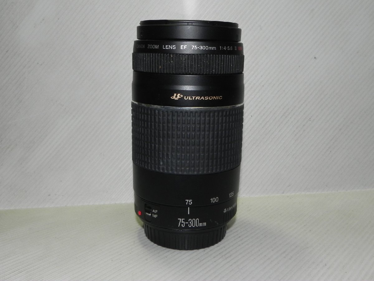 Canon EF 75-300mm f/4-5.6 III USM レンズ Canon III 75-300mm | Cash