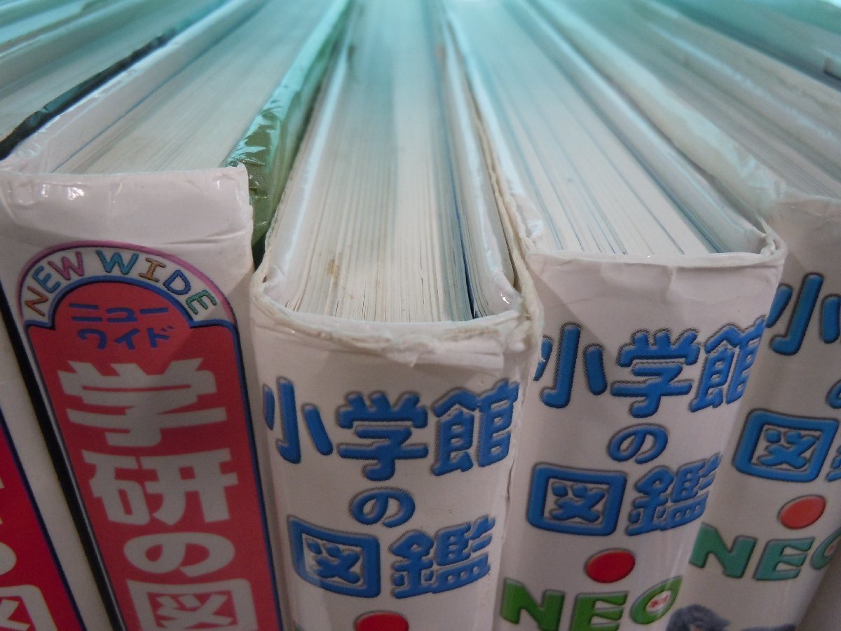 【図鑑】《まとめて13点セット》学研の図鑑/小学館の図鑑NEO/発明・発見/昆虫/人間/恐竜/星・星座/魚/花 他_3