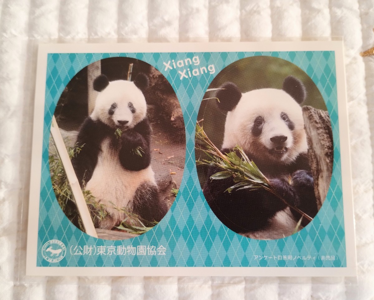 シャンシャンステッカー 上野動物園 ジャイアントパンダxiangxiang