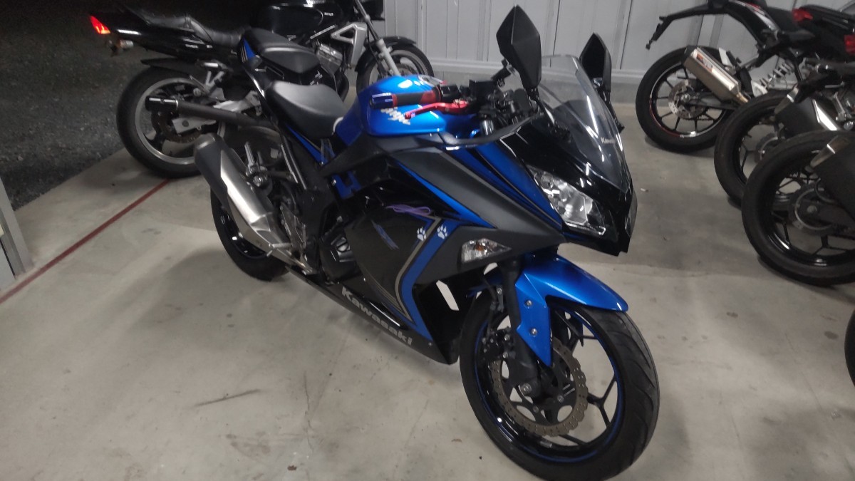 動画あり SEモデル ☆ニンジャ250 EX250L Ninja250☆ YZF-R25 CBR250R