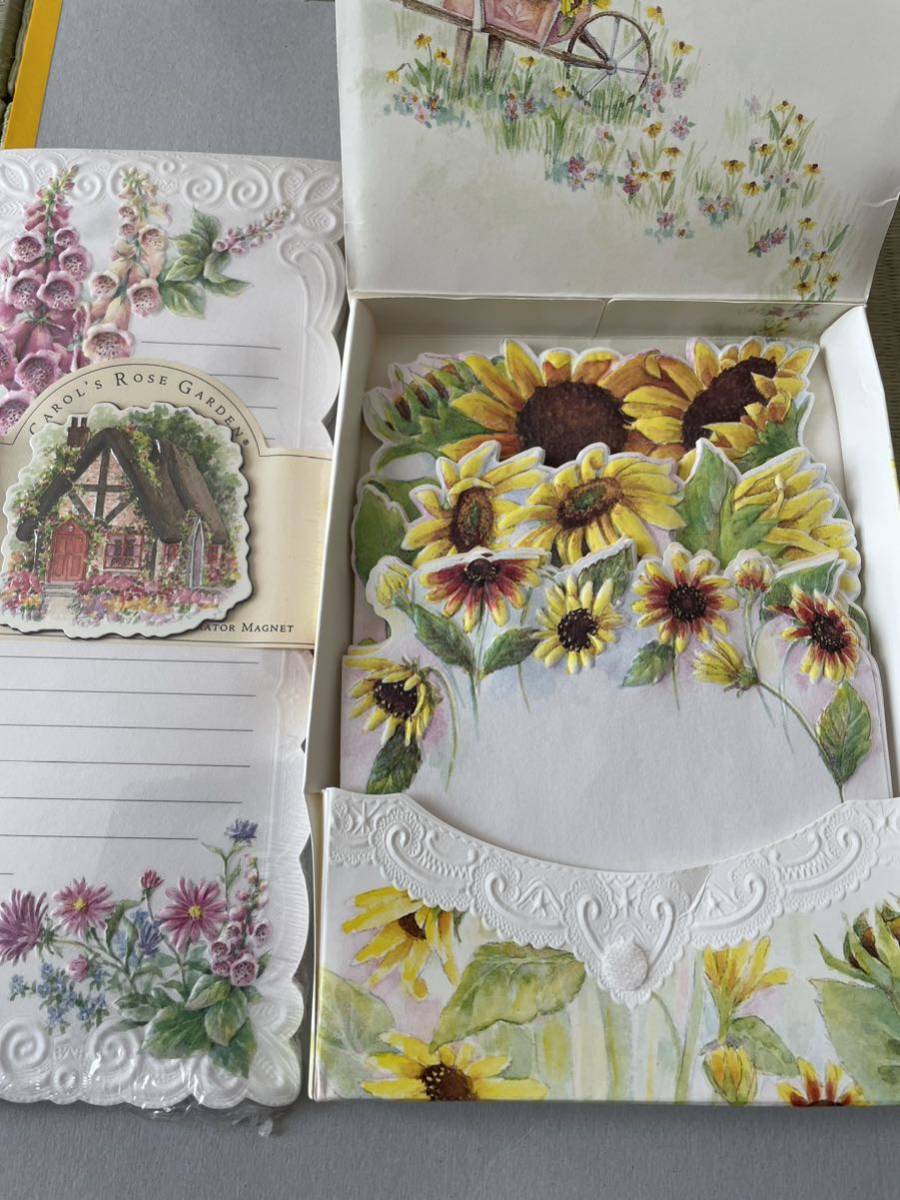 キャロルウィルソン　