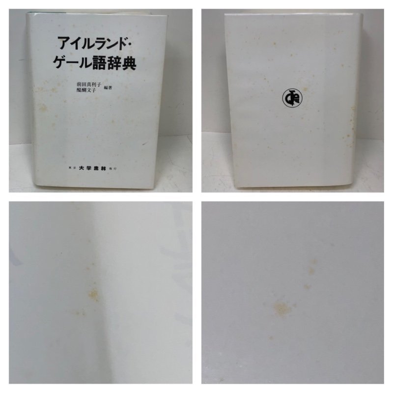 アイルランド ゲール語 辞典 231017SK040725 - アイルランド・ゲール語
