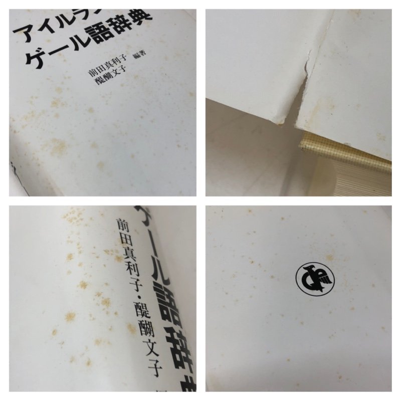 アイルランド ゲール語 辞典 231017SK040725 - アイルランド・ゲール語