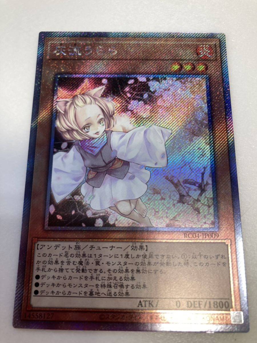 灰流うらら 25thシークレット 2枚 遊戯王 灰流うらら 25th 他 アート