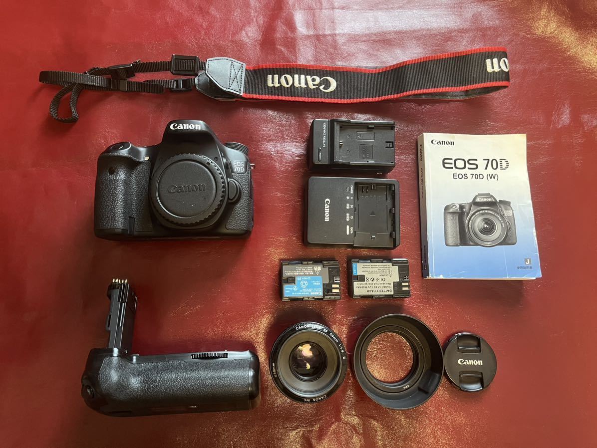 ☆レンズセット☆ キヤノン Canon EOS-1D X & 28-80mm & 100-300mm