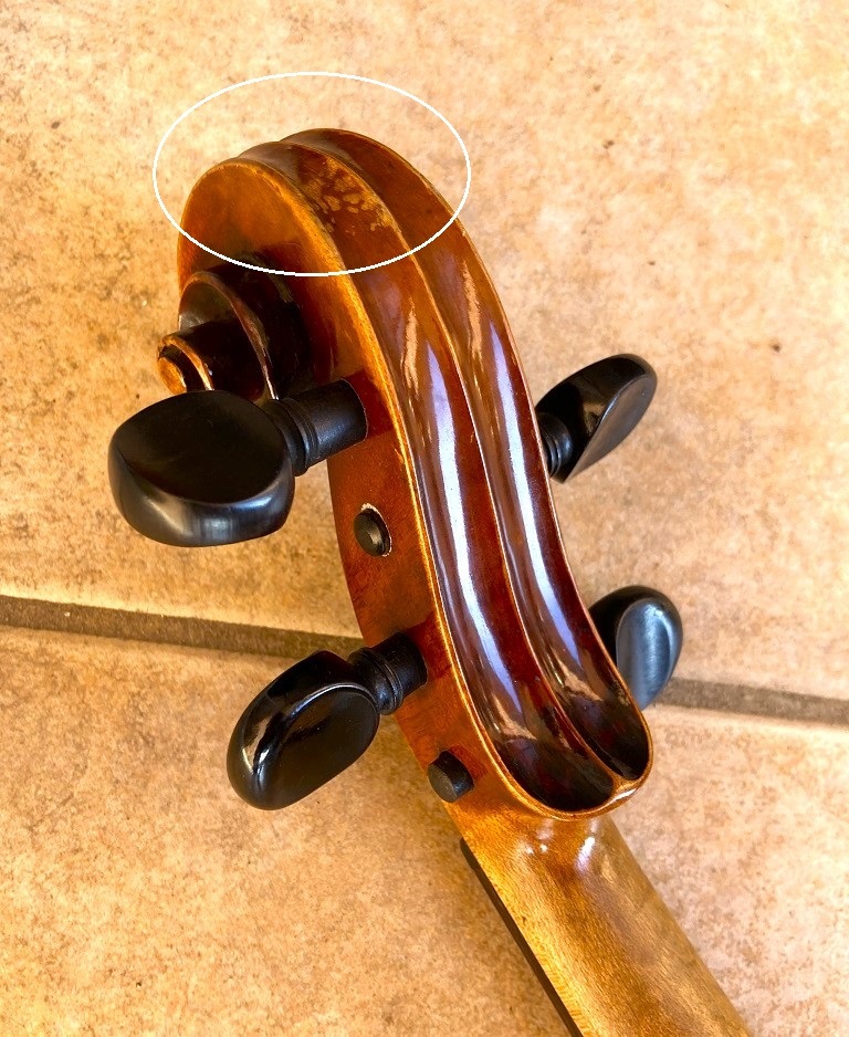 美虎杢MASAKICHI SUZUKI 鈴木政吉バイオリン No.6 弦楽器 Yahoo