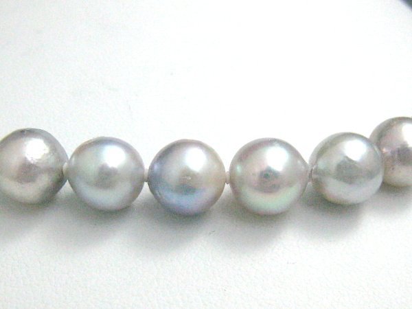 ★8.5～8㎜　アコヤ真珠　　ネックレス　43.5㎝★