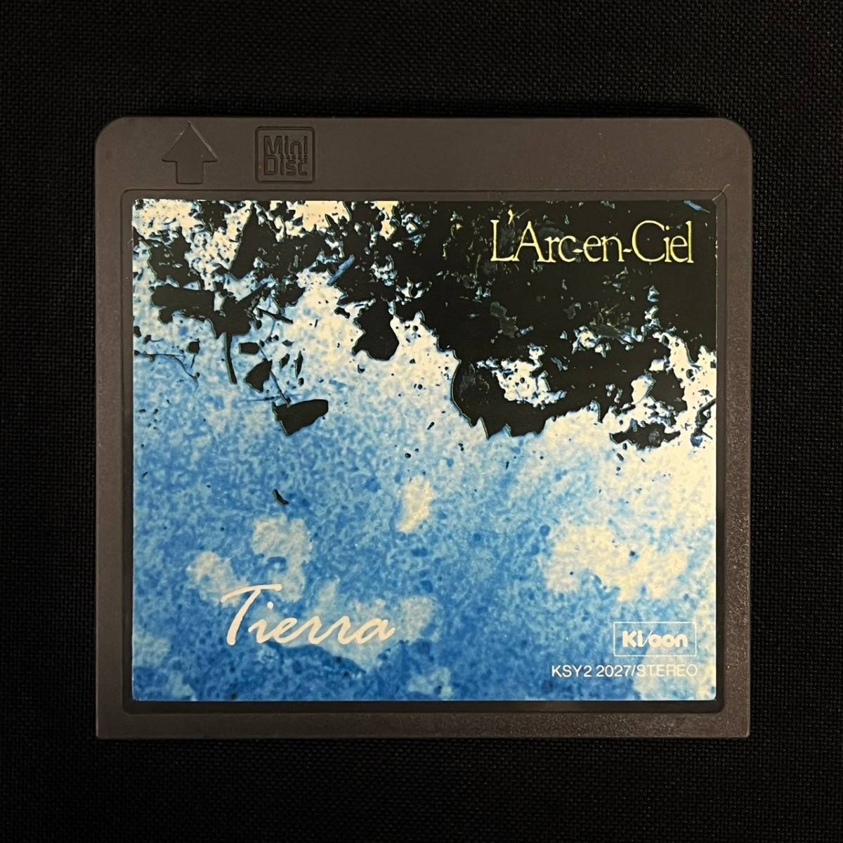 BJd093R 60 希少 1994年 L'Arc~en~Ciel MD『Tierra』ラルクアンシエル