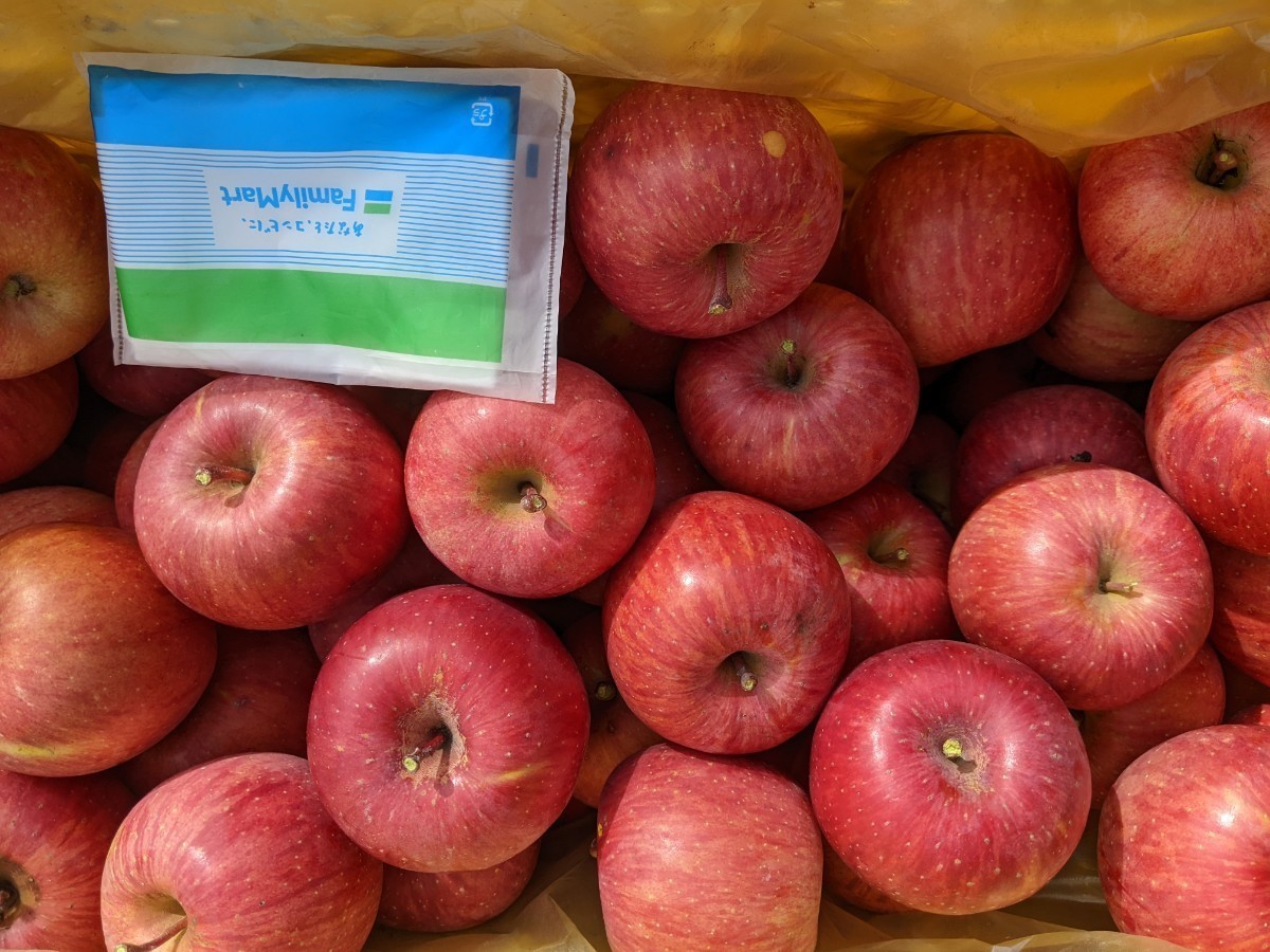 初採りお試しSALE！ミニサイズ☆長野県産サンふじりんご