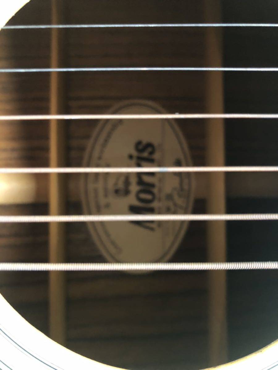モーリス アコースティックギター W-20 Morris MORRIS w-20 アコギ
