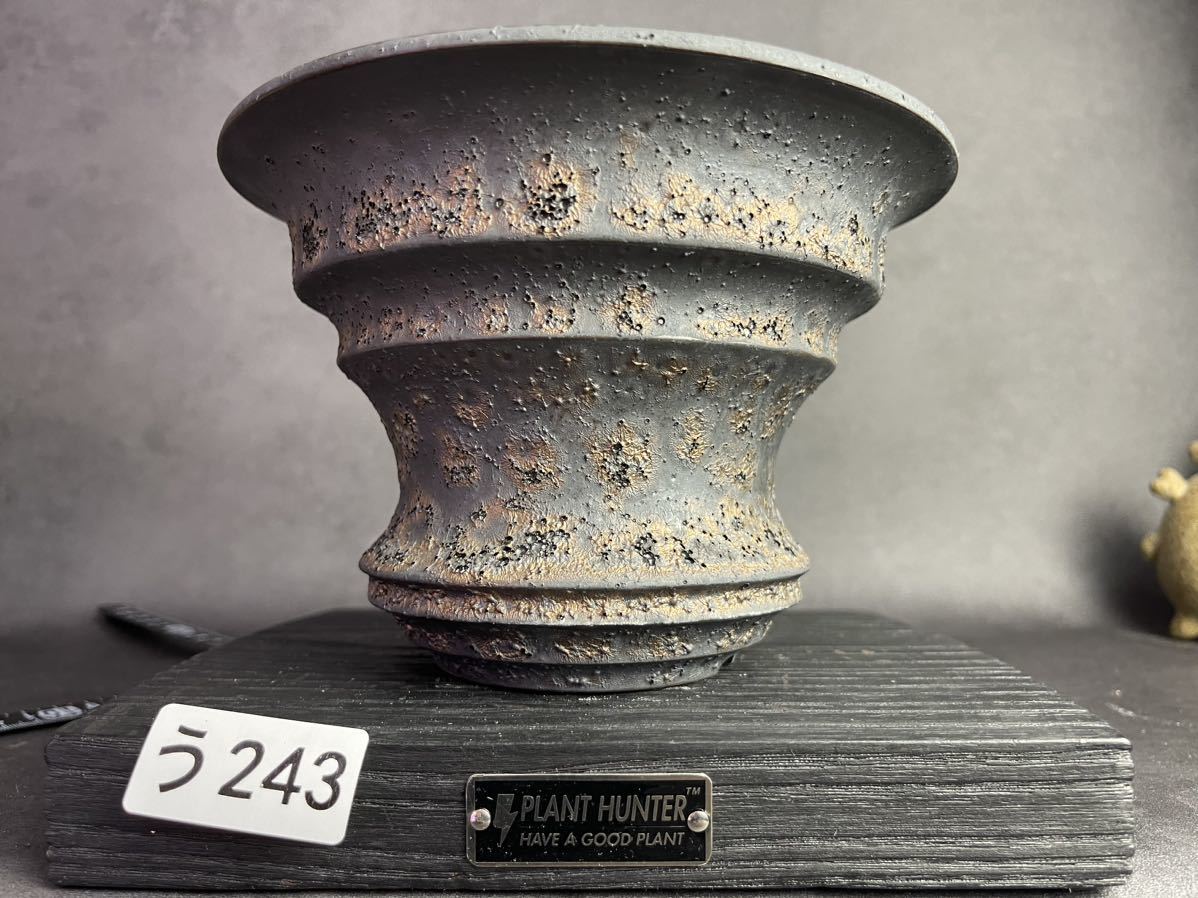 う243 LLサイズ 植木鉢 陶器 検（塊根植物 アガベ パキプス invisible ink raw life factory SRL 信楽焼 伝市鉢カタチ製作所 グラキリス