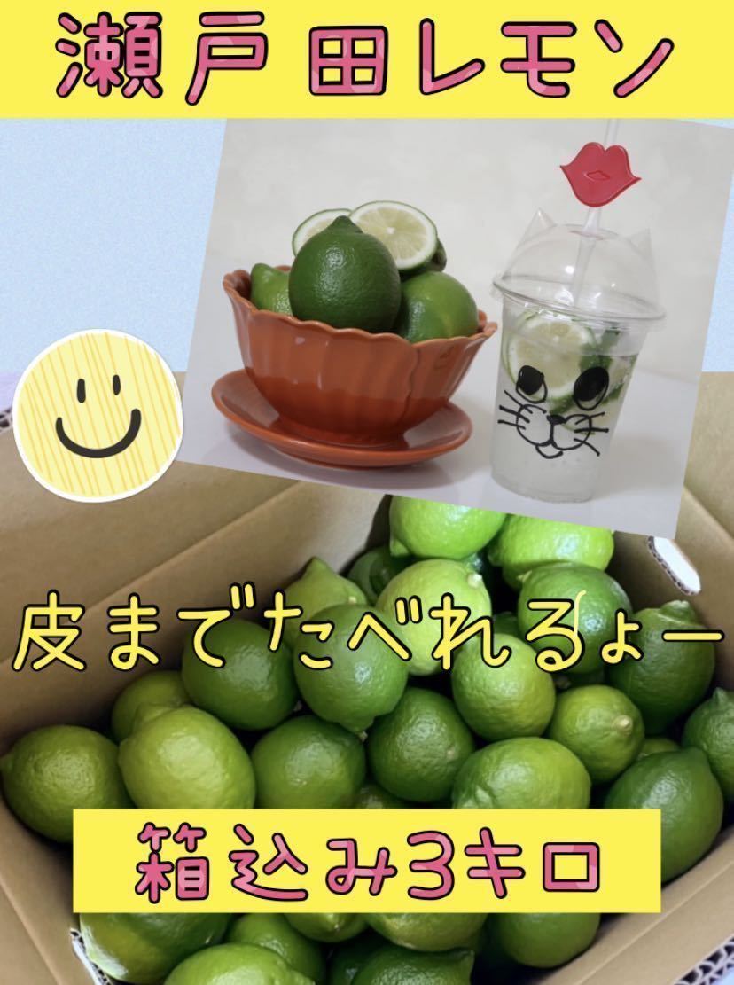 瀬戸田レモン グリーンレモン 広島レモン 皮ごと食べてね ノー