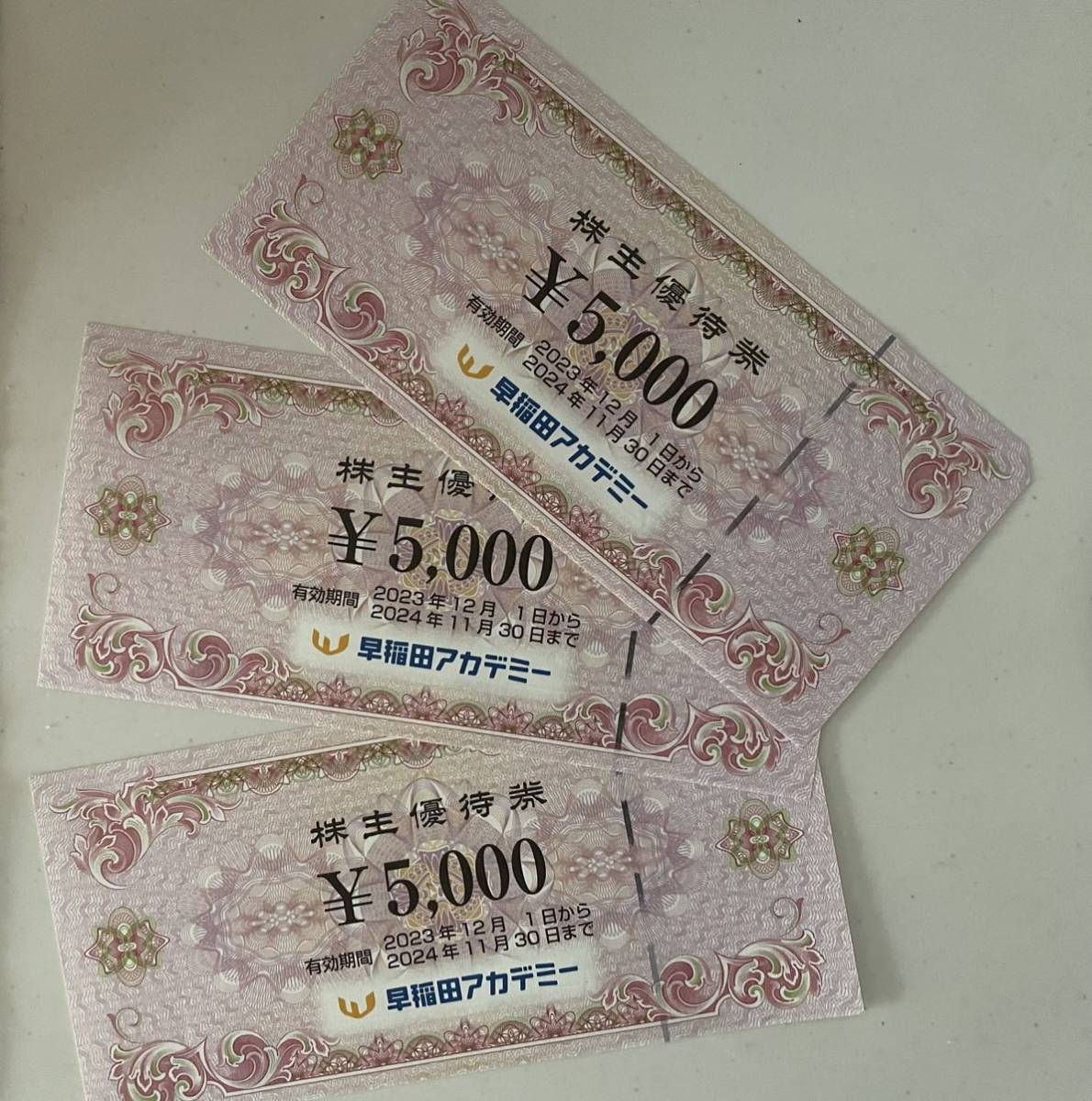 送料無料】株式会社早稲田アカデミー株主優待券15000円分 ギフト券