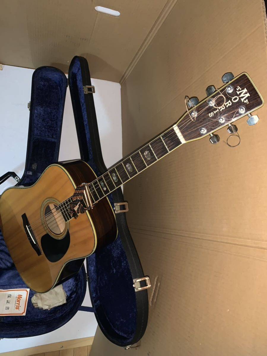 MORRIS アコースティックギター W-50 ,覧頂きまして 【公式通販】