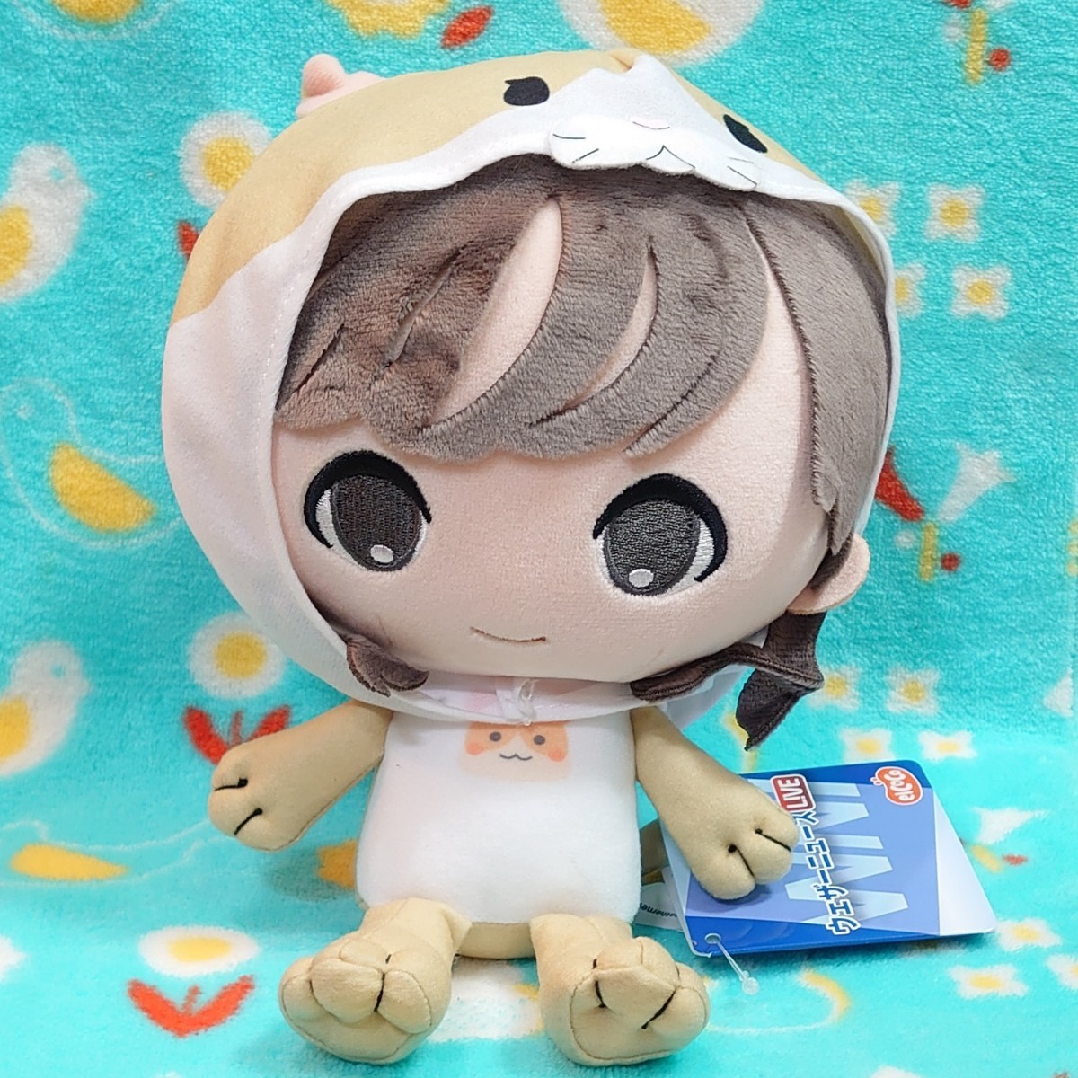 【小林李衣奈】ウェザーニュース LiVE ココぎゅっと！ ぬいぐるみ ナムコ限定