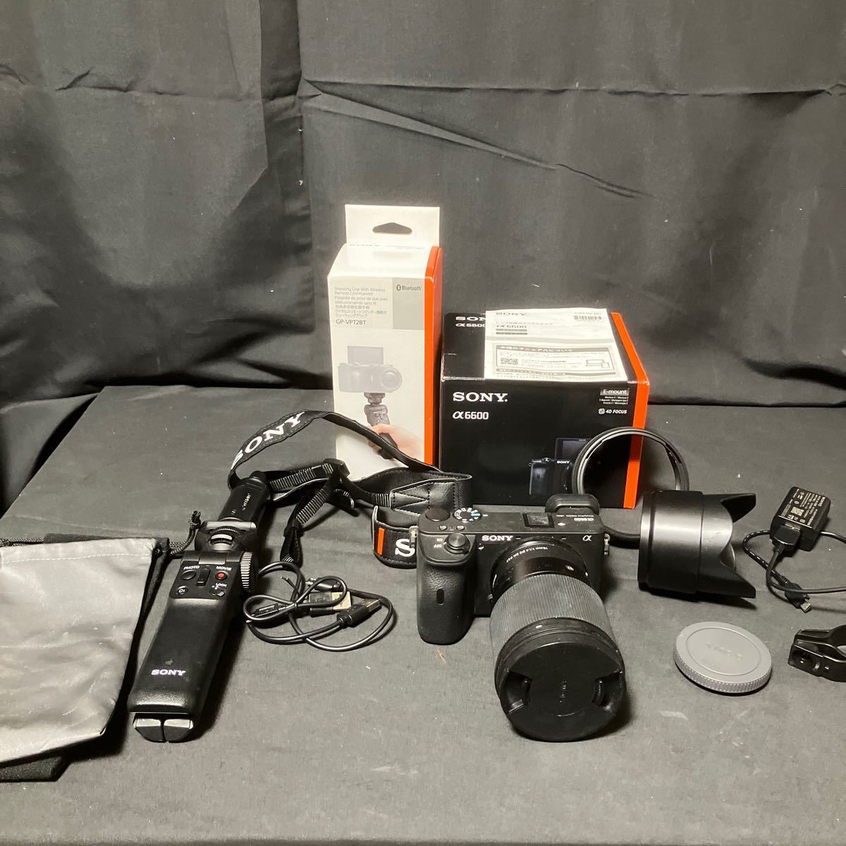 SONY ILCE-6600 α6600 ボディ ソニー ミラーレス一眼カメラ GP-VPT2BT 