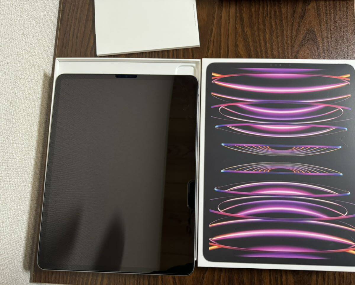 iPad Pro 12.9インチ　第6世代　256GB cellular スペースグレイ_1