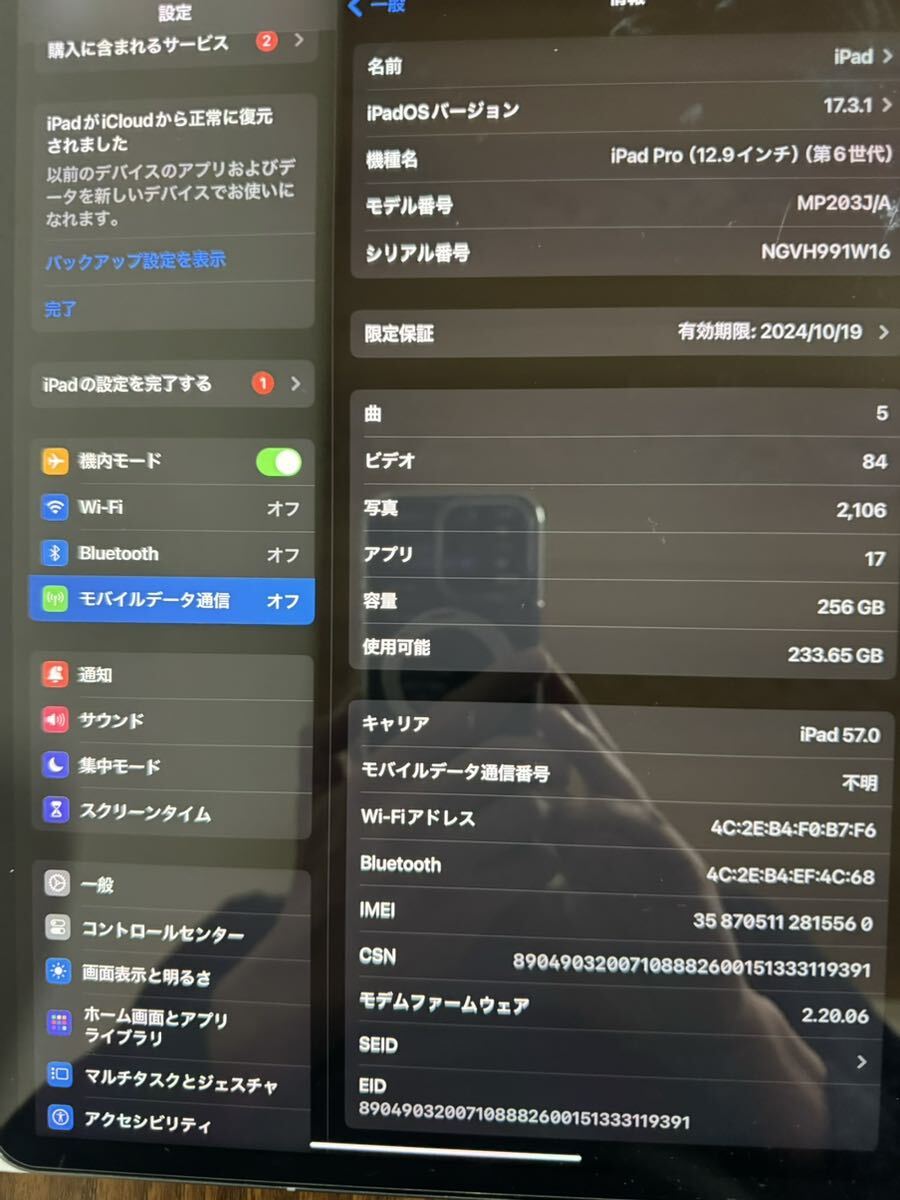iPad Pro 12.9インチ　第6世代　256GB cellular スペースグレイ_3
