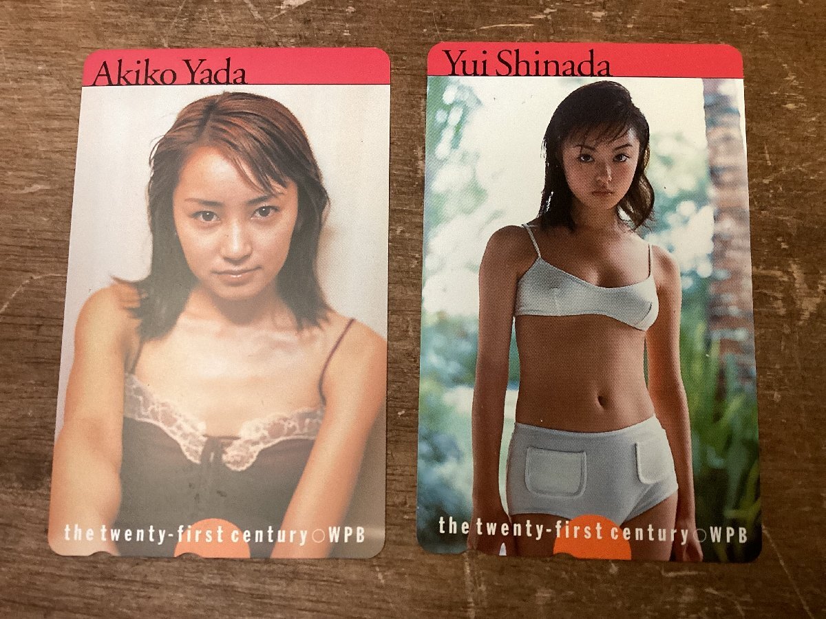 矢田 亜希子 水着
