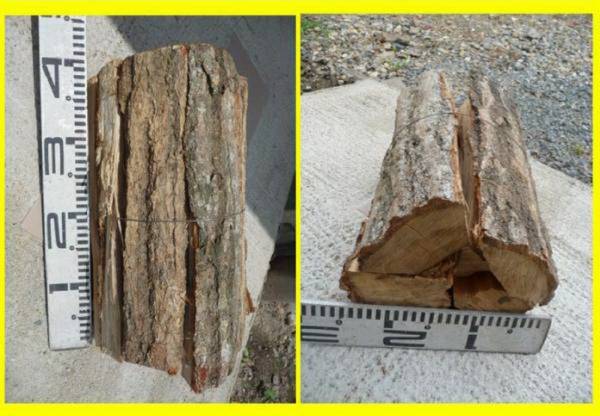 京丹波町発、薪（楢、クヌギ、大割４～７割）５０束