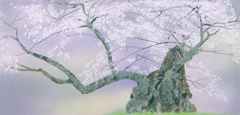 真作】【WISH】中島千波「神代櫻」シルクスクリーン 約25号 大作 直筆