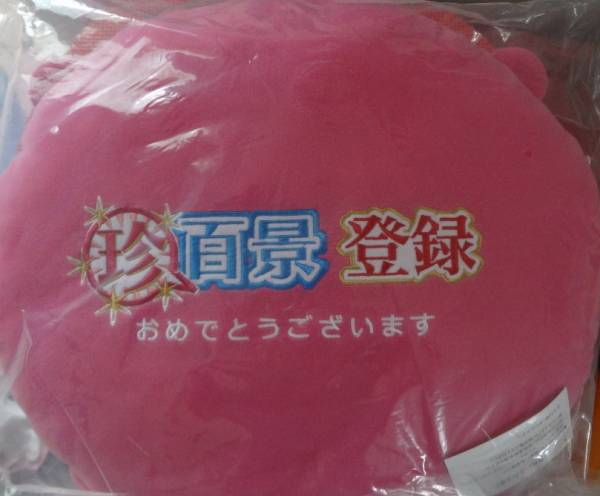 「ナニコレ珍百景」　登録記念クッション