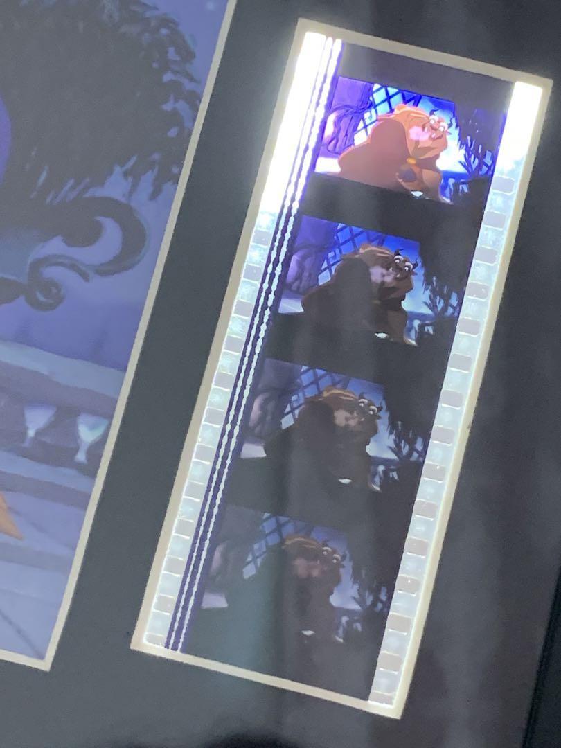 美女と野獣のセルフィルム　beauty and the beast 限定品 レア 希少 コレクション_4