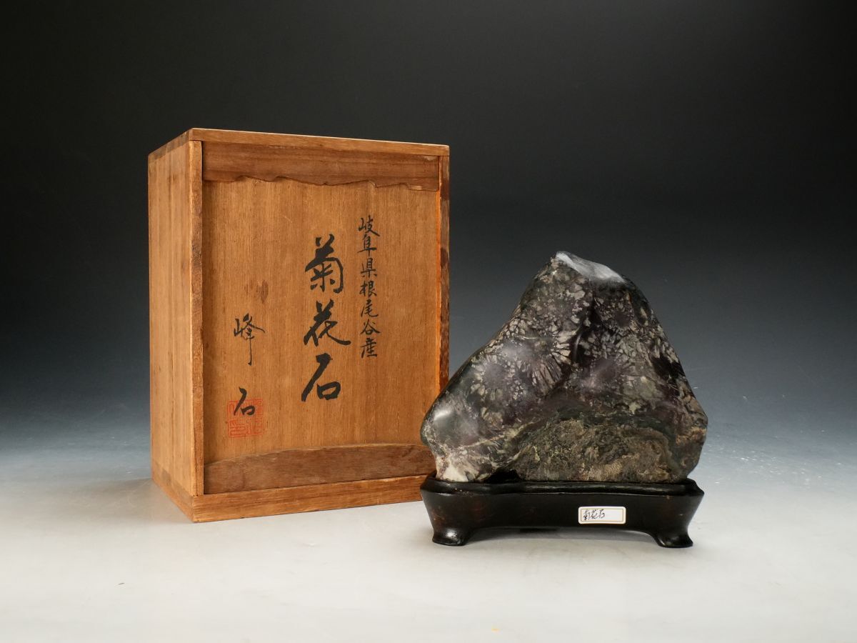 ISBS】有名愛好家旧蔵石 菊花石 岐阜県根尾谷産(台座布桐箱付) 水石
