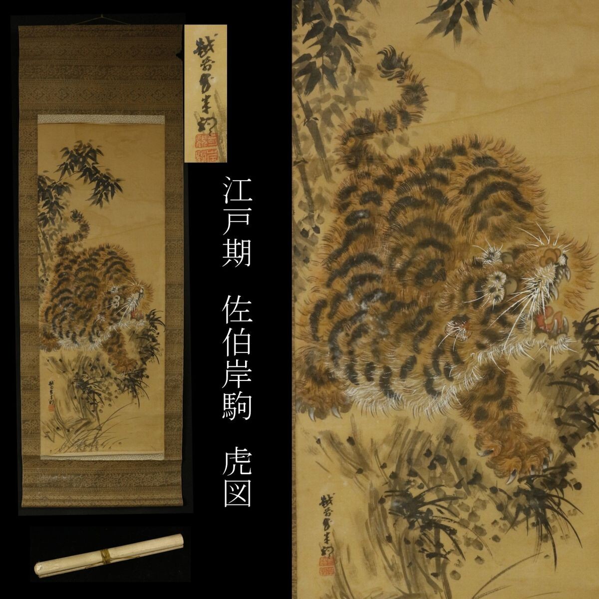 模写】【LIG】江戸期 佐伯岸駒 虎図 掛軸 絹本彩色 旧家蔵出品 [.U