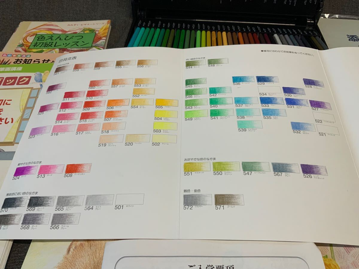 R19d3 色鉛筆画 教材一式 ユーキャン での購入品 (欠品あり: 水彩
