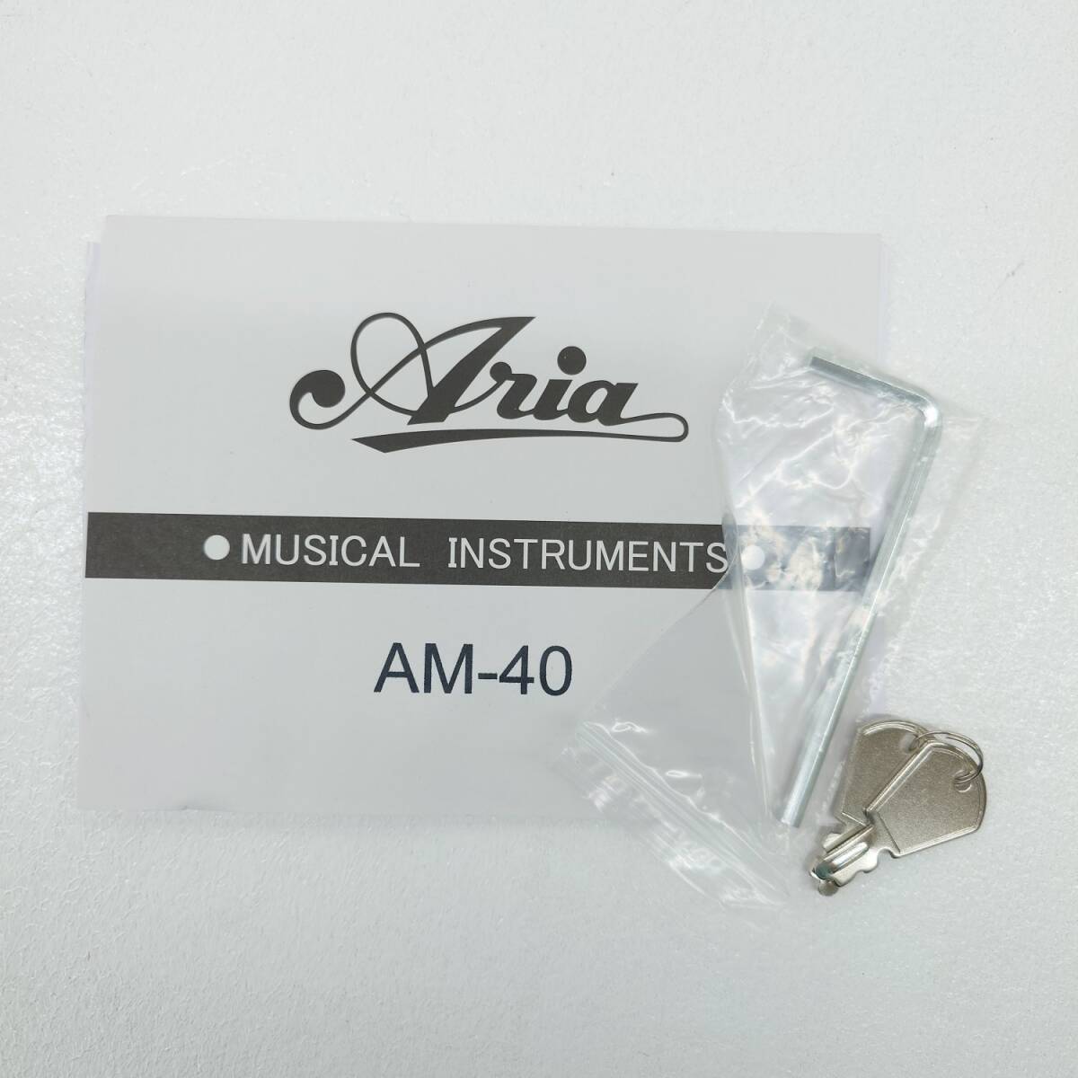 中古品】Aria AM-40 アリア フラットマンドリン ハードケース付き