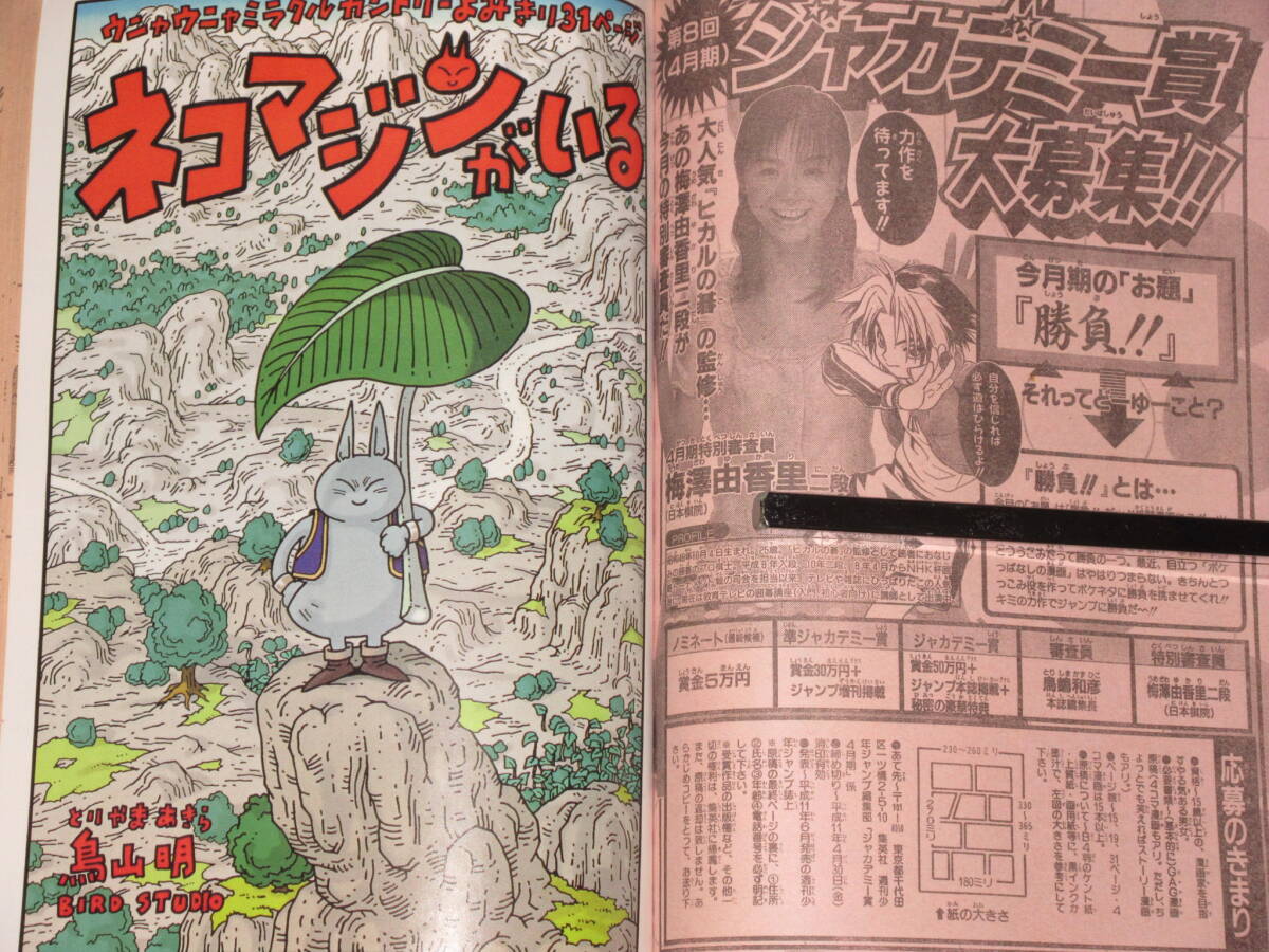 ◇HUNTER×HUNTER ハンター×ハンター 表紙号◇週刊少年ジャンプ 1999年