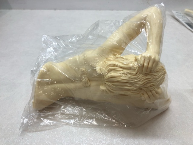 091/X220☆VOLKS VENUS GRADATION 空山基 HAJIME SORAYAMA WORLD