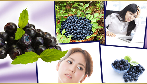 新品正規品 未使用 １円スタート 国内生産【富山県】濃縮100倍 濃いビルベリー＆ルテイン 約6ヵ月分 累計100,000個突破 ブルーベリー_4