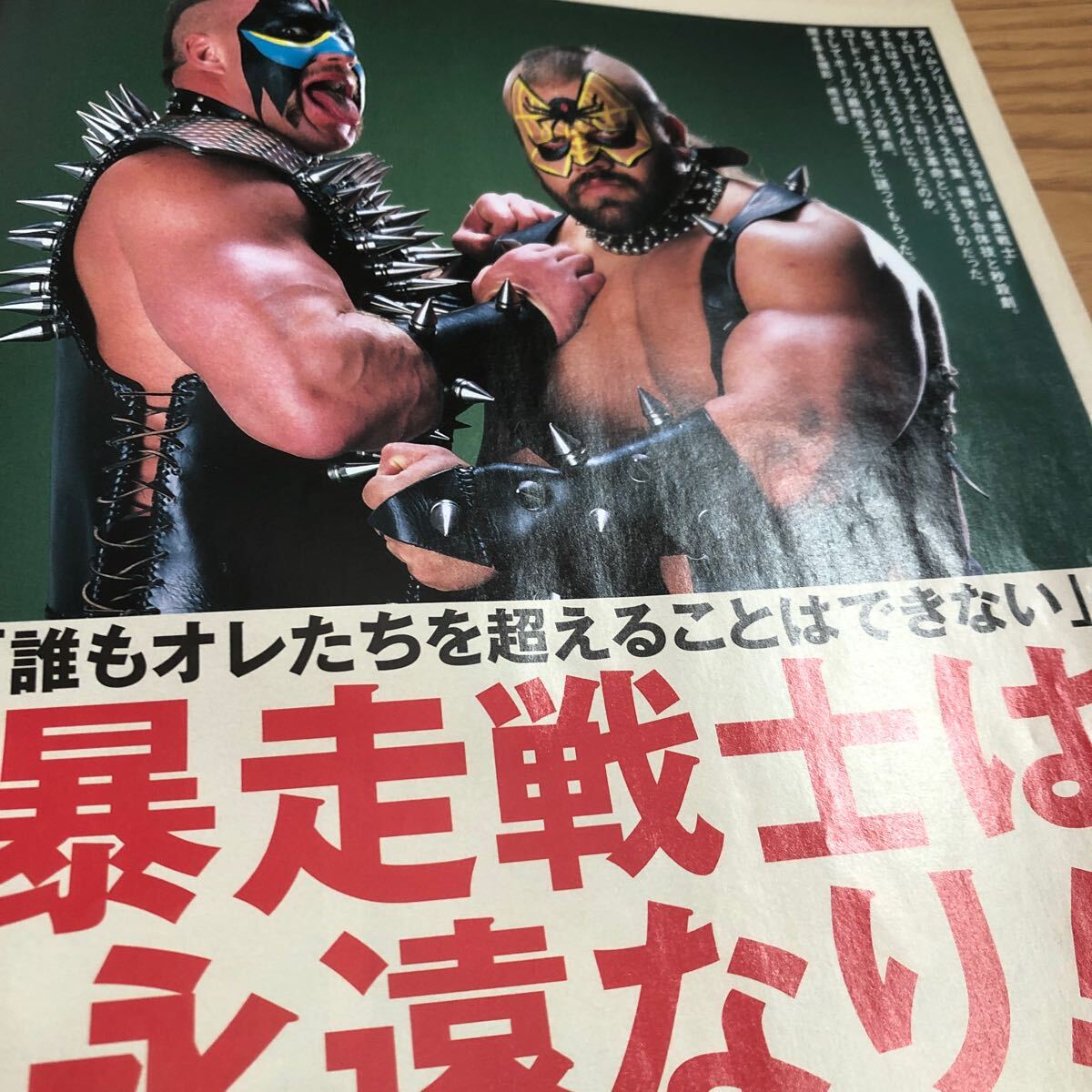 プロレス フィギュア ロードウォリアーズ wwe 新日本 全日本 ザロードウォリアーズ週刊プロレスミニアルバムWWE新日本全日本