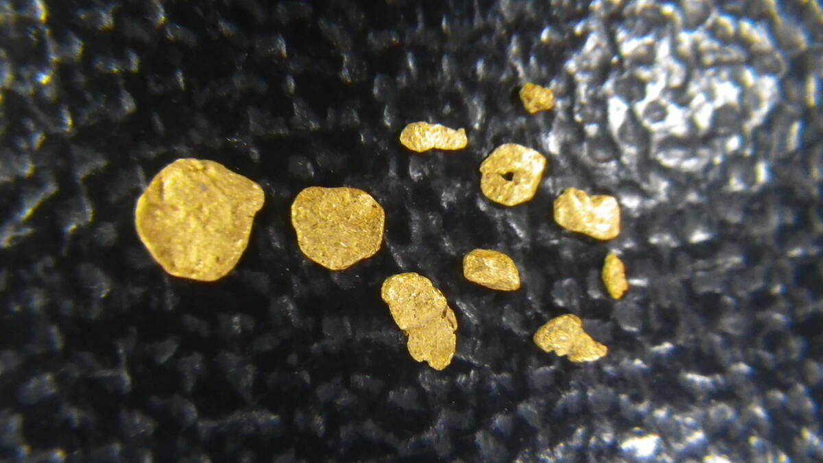 久慈川の砂金×10です（2.5mm大etc）。 市場価格は無視 多数の写真2