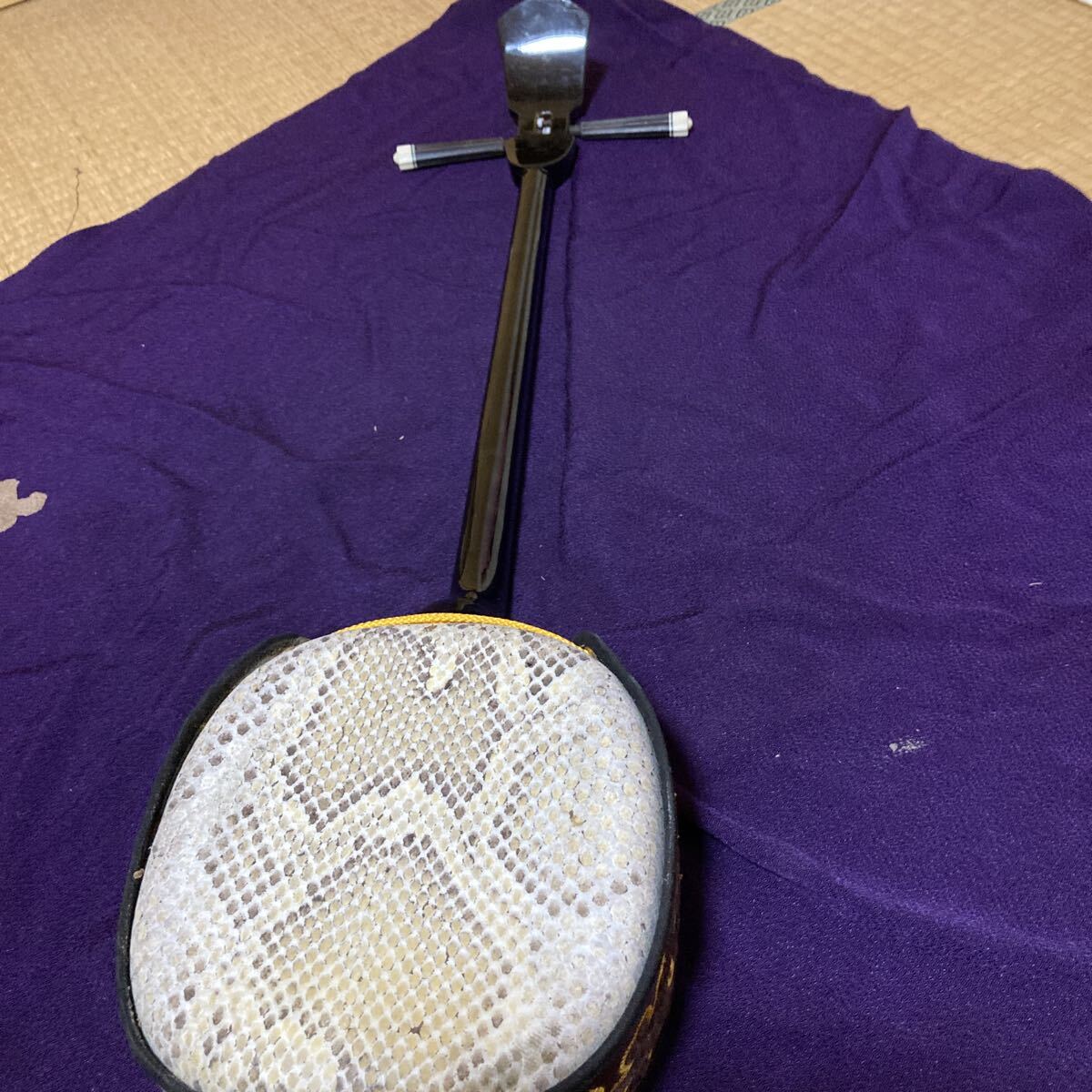 三線 和楽器 三味線 弦楽器 琉球楽器 沖縄三線 蛇柄 沖縄_3