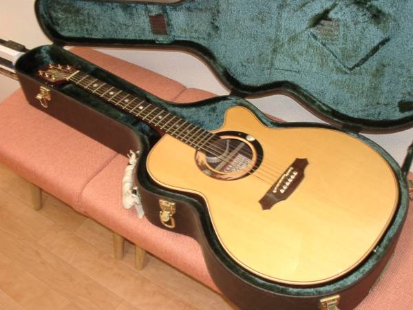 タカミネ Takamine Limited Edition LTD-98(タカミネ)｜売買された