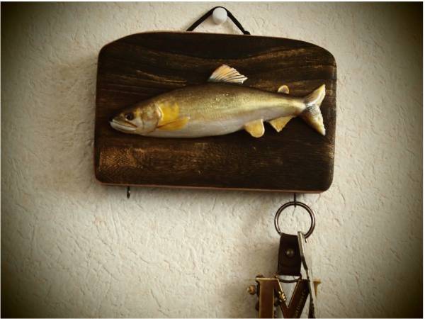 魚の剥製 はありません アユ用品 売買されたオークション情報 Yahooの商品情報をアーカイブ公開 オークファン Aucfan Com