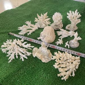 白珊瑚置物の値段と価格推移は？｜4件の売買データから白珊瑚置物の