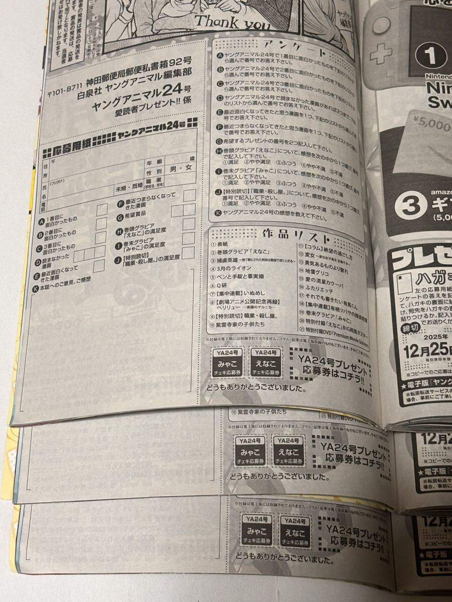 ヤングアニマル 2025年No.24 愛読者プレゼント応募用紙3枚セット＋